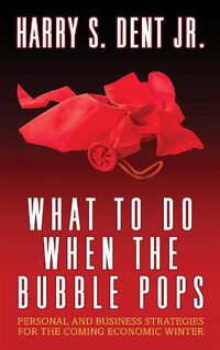 Cover image for What to Do When the Bubble Pops: Personal and Business Strategies For The Coming Economic Winter