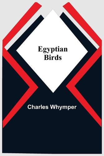 Cover image for Egyptian Birds