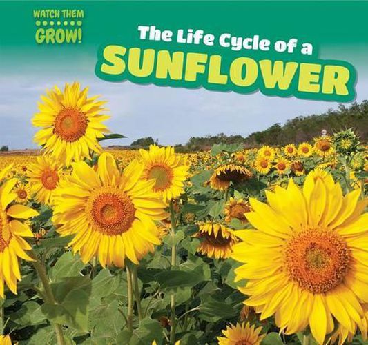 Cover image for The Life Cycle of a Sunflower