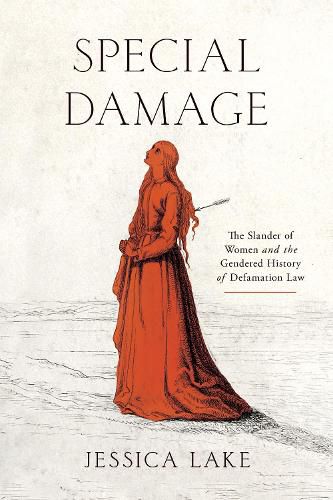 Cover image for Special Damage