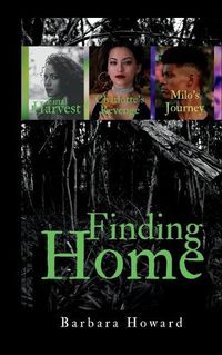 Cover image for Finding Home Mystery Series