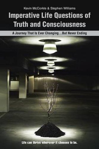 Cover image for Imperative Life Questions of Truth and Consciousness: A Journey That Is Ever Changing...But Never Ending