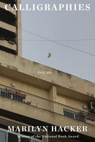 Cover image for Calligraphies