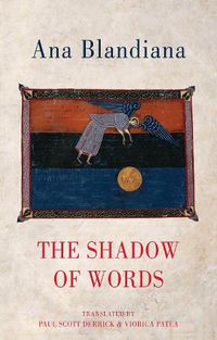 Cover image for The Shadow of Words