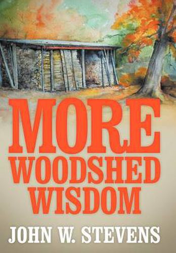 Cover image for More Woodshed Wisdom