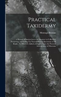 Cover image for Practical Taxidermy