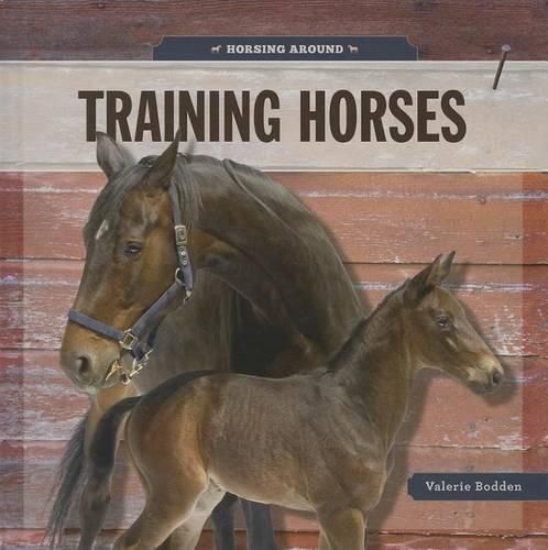 Cover image for Training Horses
