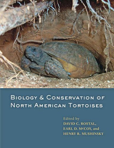 Cover image for Biology and Conservation of North American Tortoises