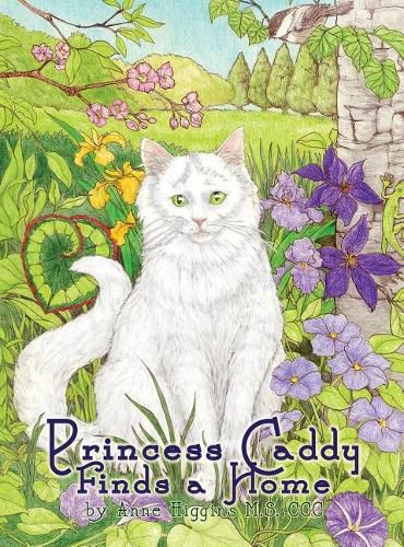 Cover image for Princess Caddy Finds a Home