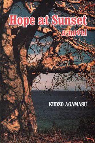 Cover image for Hope At Sunset