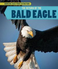 Cover image for The Return of the Bald Eagle