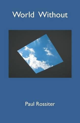 Cover image for World Without