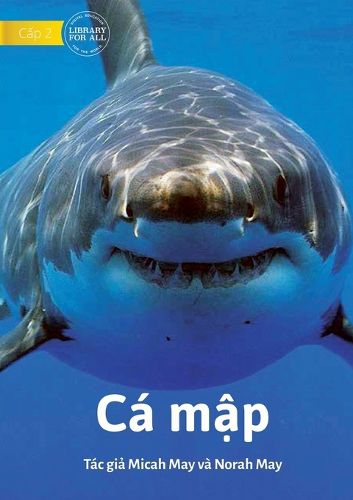 Cover image for Sharks - Ca mập