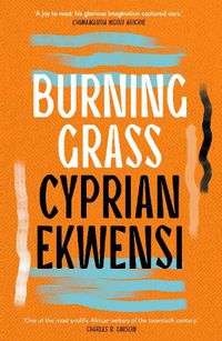 Cover image for Burning Grass