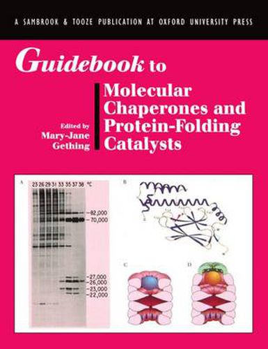 Cover image for Guidebook to Molecular Chaperones and Protein Folding Factors