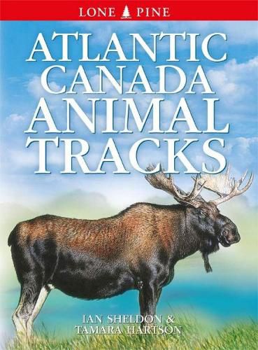 Atlantic Canada Animal Tracks