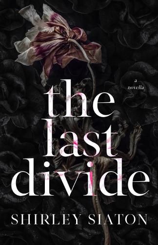 Cover image for The Last Divide