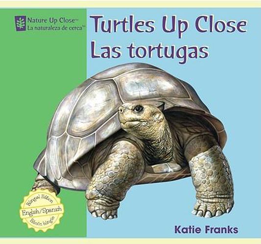 Turtles Up Close / Las Tortugas