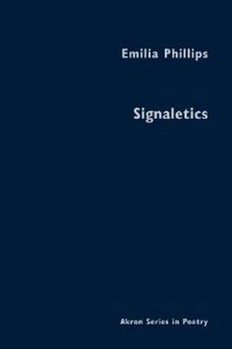 Cover image for Signaletics