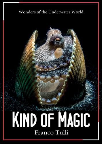 Cover image for Kind of Magic. Wonders of the underwater world