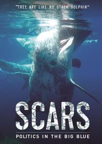 Cover image for Scars 