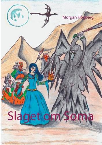 Cover image for Slaget om Soma