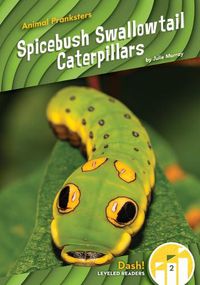 Cover image for Spicebush Swallowtail Caterpillars
