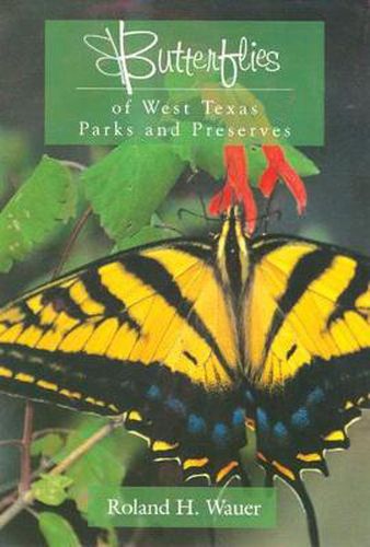 Cover image for Butterflies of West Texas Parks and Preserves