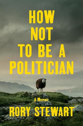 Cover image for How Not to Be a Politician