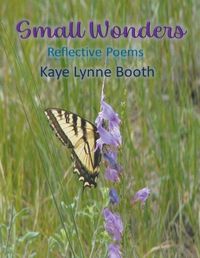 Cover image for Small Wonders