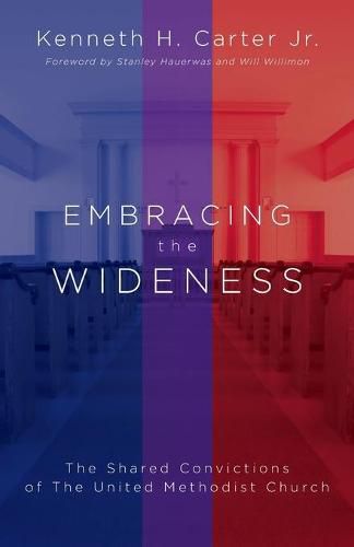 Cover image for Embracing the Wideness