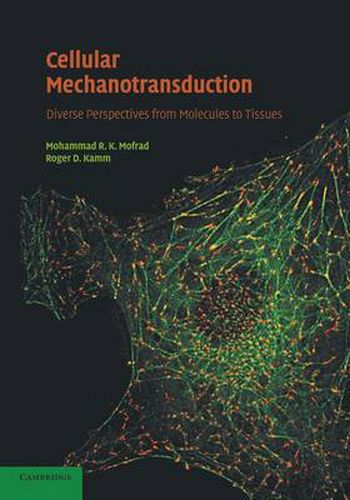 Cover image for Cellular Mechanotransduction: Diverse Perspectives from Molecules to Tissues