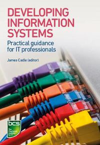 Cover image for Developing Information Systems: Practical guidance for IT professionals