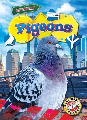 Cover image for Pigeons