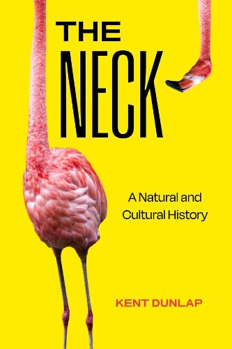 The Neck