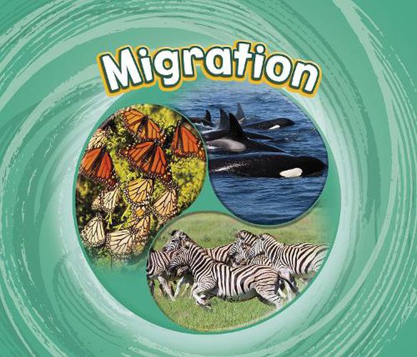 Cover image for Migration