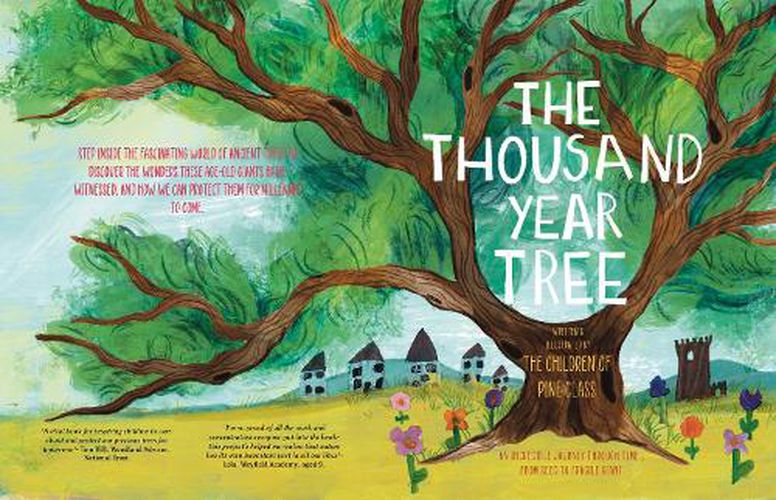 Cover image for The Thousand Year Tree