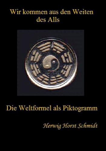 Cover image for Wir kommen aus den Weiten des Alls: Die Weltformel als Piktogramm