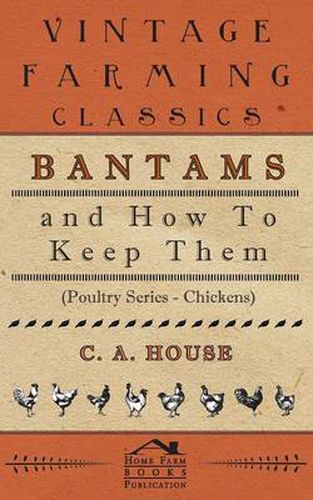 Cover image for Bantams and How to Keep Them (Poultry Series - Chickens)