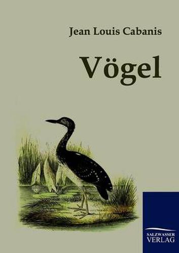 Cover image for Voegel