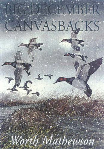 Cover image for Big December Canvasbacks, Revised