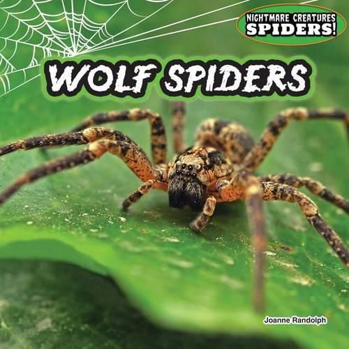 Wolf Spiders