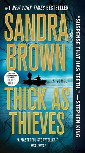 Cover image for Thick as Thieves