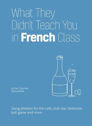 Cover image for What They Didn't Teach You In French Class: Slang Phrases for the Cafe, Club, Bar, Bedroom, Ball Game and More