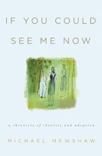 Cover image for If You Could See Me Now: A Chronicle of Identity and Adoption