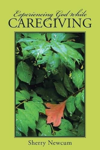 Cover image for Experiencing God While Caregiving