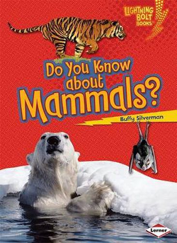 Cover image for Do You Know about Mammals?