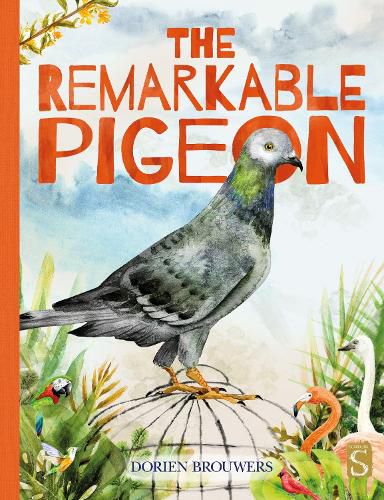 Cover image for The Remarkable Pigeon