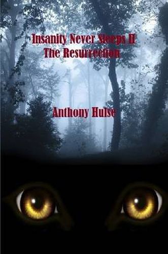 Cover image for Insanity Never Sleeps II the Resurrection