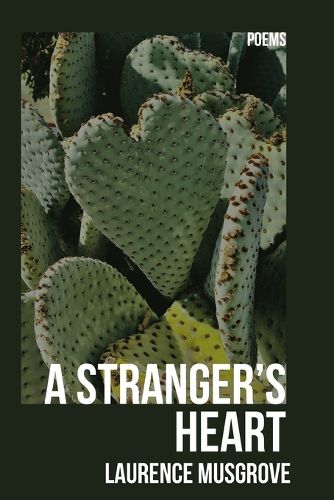 Cover image for A Stranger's Heart